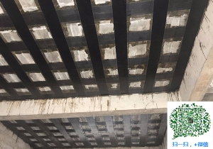 贞丰厂房碳纤维加固